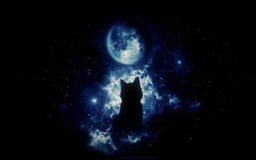 Black Cat Moon Wallpaper On