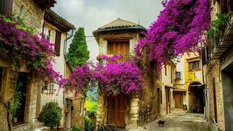 Provence France Wallpaper Top Background