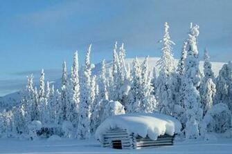 Snow Covered Cabin In Lapland Luxury Log Cabins Chalets