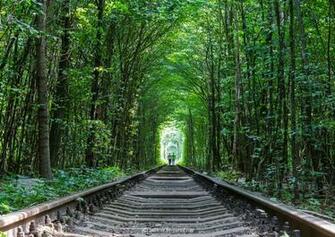 Tunnel Of Love Ukraine Jpg
