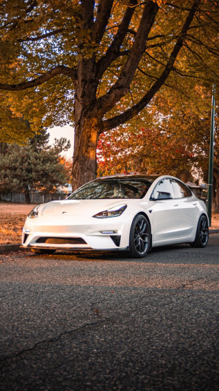 Just Wanna Share Some Autumn Photos With The New Bumper R