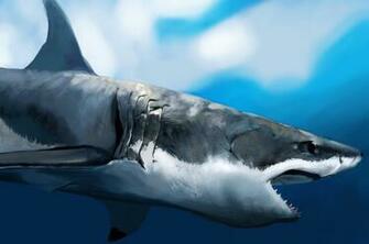Great White