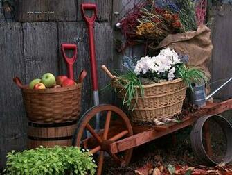 Family Garden Backyard Gardening Wallpaper Design Pictures