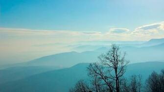 Blue Hills Black Trees Desktop Pc And Mac Wallpaper