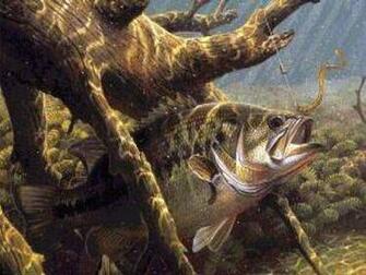 Pin Largemouth Bass Wallpaper