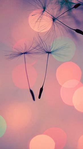 Most Demanding Retina Ready iPhone Wallpaper HD Background