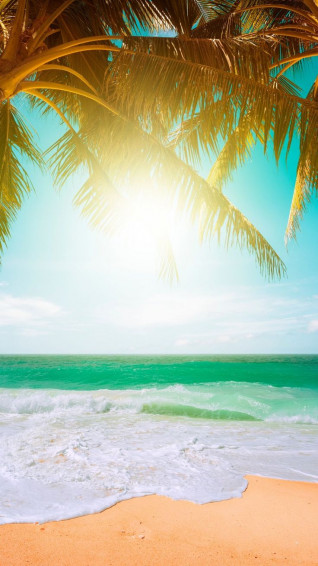 Unlock Paradise The Allure Of Beach iPhone Wallpaper