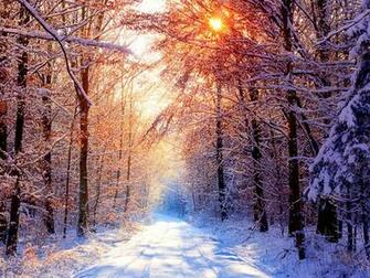 Winter Desktop Wallpaper And Background Online