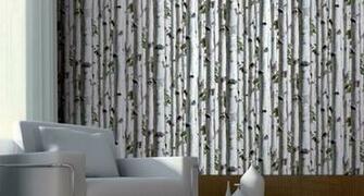 Birch Trees Wallpaper
