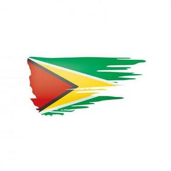 Guyana Flag Vector Illustration On A White Background Stock