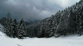 Clouds Over Snowy Forest Wallpaper