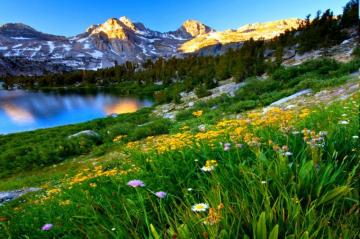 Spring Mountain Scenes Wallpaper 4k HD