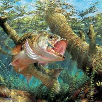 Bass Fishing Wallpaper Background Background