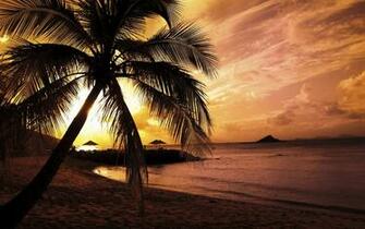 Nature Summer Sunset Beach Wallpaper Cool