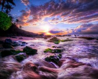 Purple Beach Wallpaper Walltor