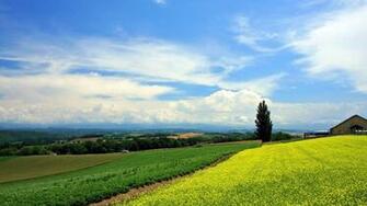 Landscape Photos Slideshow Small Backyard Landscaping Ideas