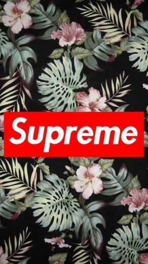 Supreme Wallpaper