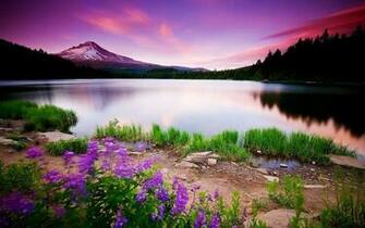 Spring Landscape Desktop Wallpaper