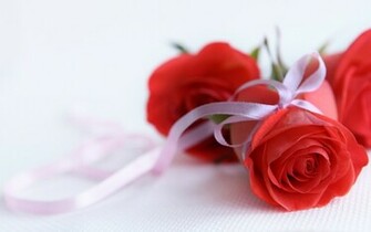 Pictures Gallery Of Rose Wallpaper