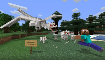 Minecraft Fond D Cran