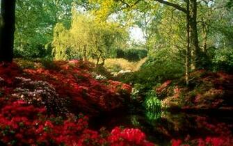 Spring Scene Wallpaper