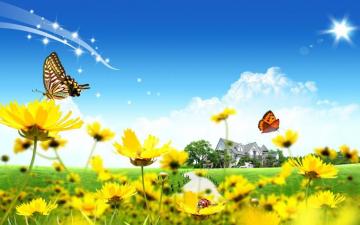 Sunny Day Wallpaper Beautiful Flowers