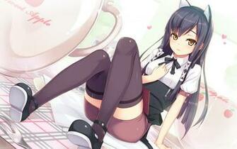 Alpha Coders Anime Neko Girls