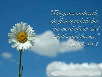 Blessing Bible Verse Wallpaper Christian