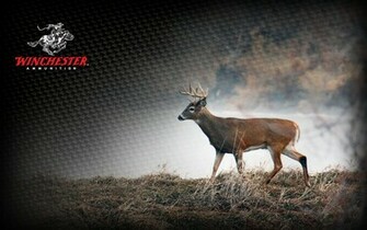 Deer Hunting Wallpaper