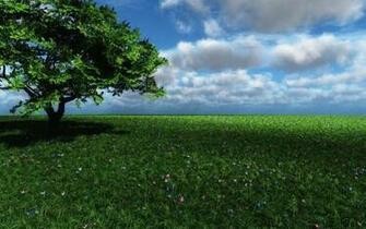 Green Land Wallpaper Walltor