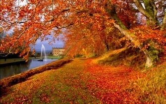 Autumn Wallpaper Background