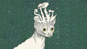 Wallpaper Cats Psychedelic Mushrooms Nature Animals Painting Art