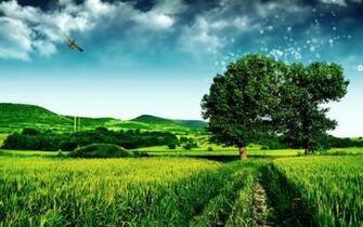 Spring Wallpaper Best