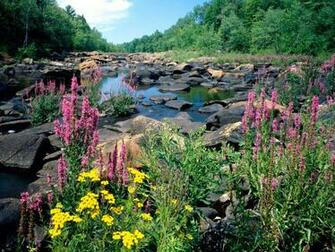 National Park Usa Wallpaper