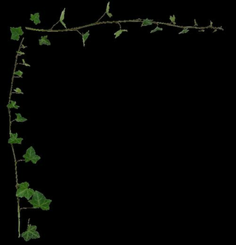 Ivy Vine Border Wallpaper