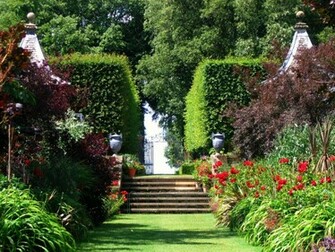 Funny Image Collection Beautiful Flower Garden Wallpaper