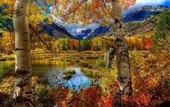 Wallpaper Landscape