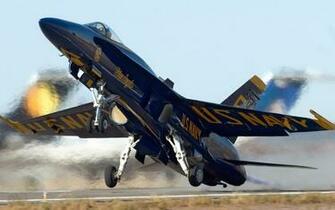 Hornet Wallpaper And Image Pictures Photos