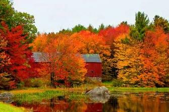 Fall Barn Wallpaper