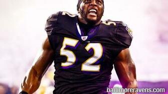 Wallpaper HD Baltimore Ravens X Kb Jpeg