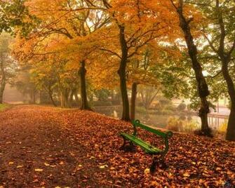 Wallpaper Bench In The Park Autumn X Desktop