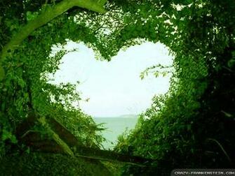 HD Widescreen Background Wallpaper Love