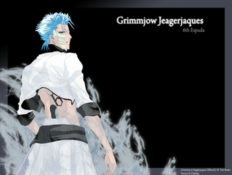Grimmjow Wallpaper By Dalexx