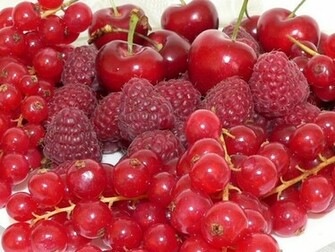 Wallpaper Food