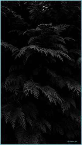 Best Dark I Phone Wallpaper Black