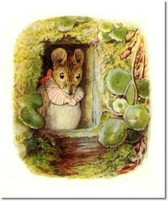 Beatrix Potter Ii The Tale Of Mrs Tittlemouse