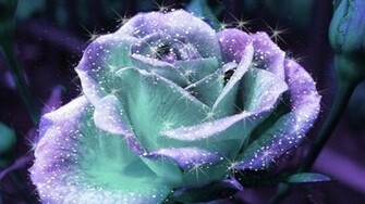 Wallpaper Movies Games Flowers