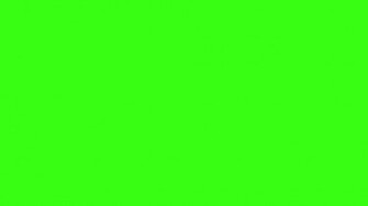 Cute Neon Green Wallpaper Solid Color Background