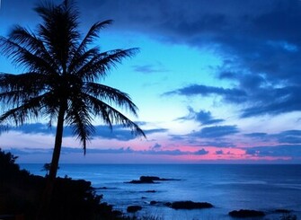 Travac Tours Hawaiian Vacation Escape Winter Head To Oahu