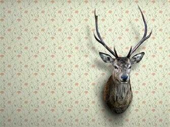 My Wallpaper Desktop Hirsch Deer Wall Fun Hunting Jags